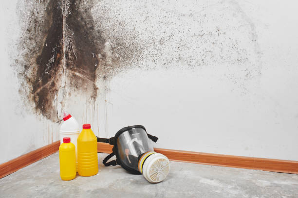 Best Commercial Mold Removal  in Ller, WA