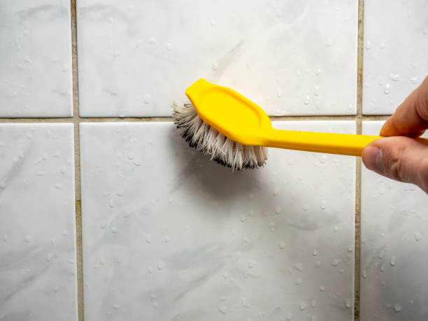 Best Fast Mold Removal  in Ller, WA