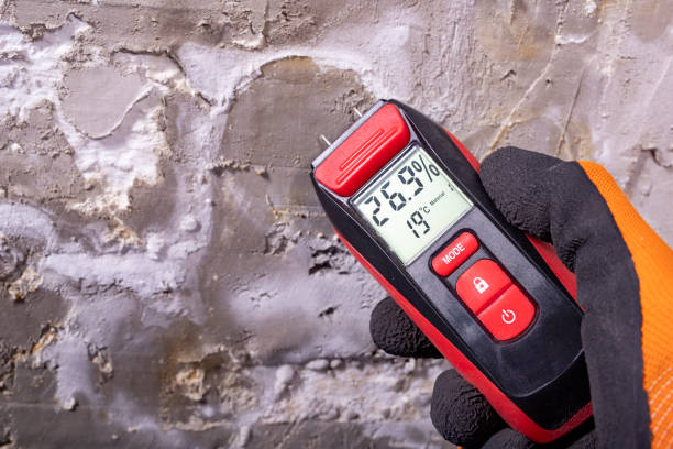 Best Same-Day Mold Removal  in Ller, WA