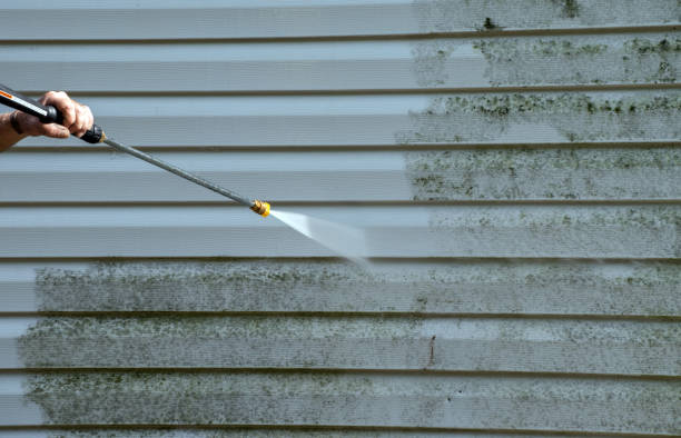 Best Mold Remediation Services  in Ller, WA