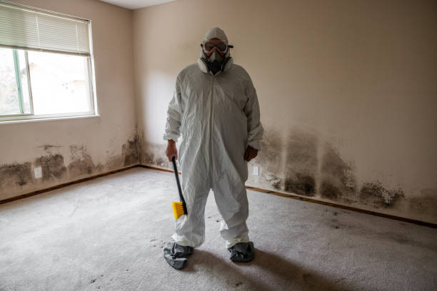 Best Professional Mold Removal  in Ller, WA