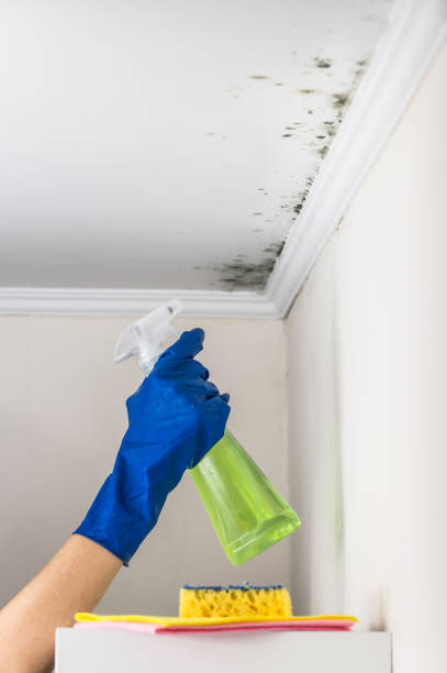 Best Mold Testing  in Ller, WA
